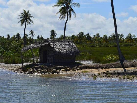 Hütte zwischen Palmen auf einer Delta-Insel