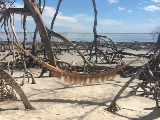 Hängematte zwischen Mangrovenwurzeln am Strand